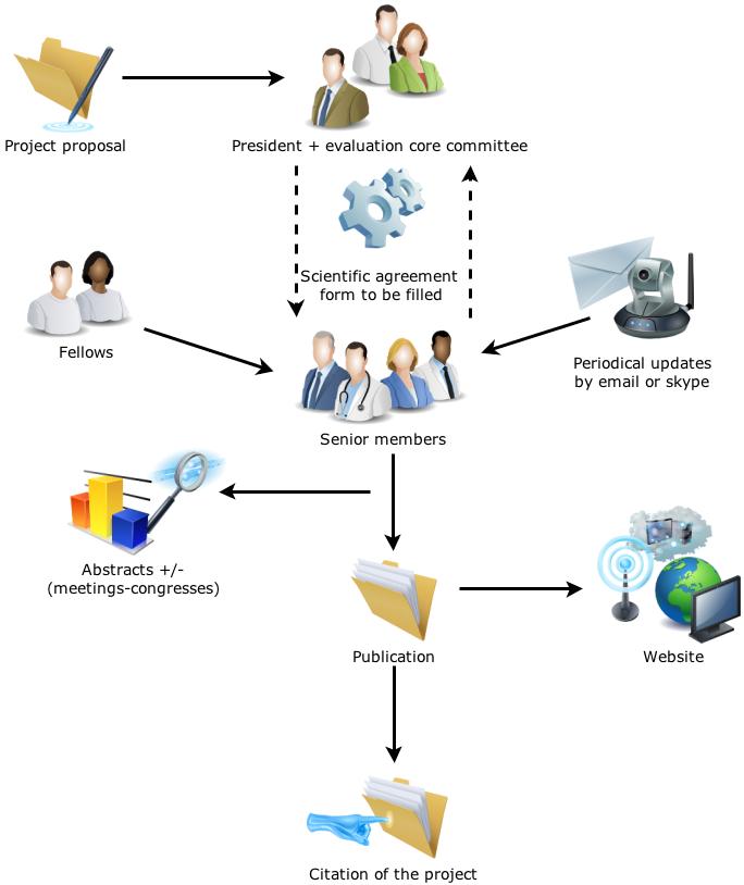 SIRIO-MEDICINE organizational structure